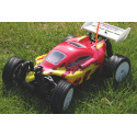 1/16th Fire Wolf Buggy 4WD (A2003T)