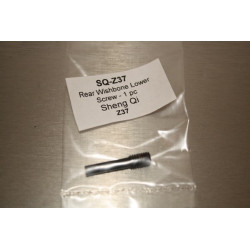 Rear Wishbone Lower Screw - 1 pc (Z37)