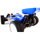 Fire Wolf Brushless Electric Motor RC Buggy